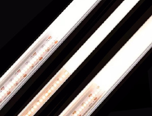 White LED Strips