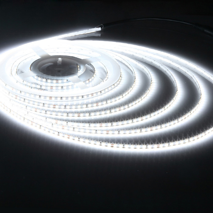 2835 24V LED Strip Light, Cool White 6500K, 168/m, 5m Reel