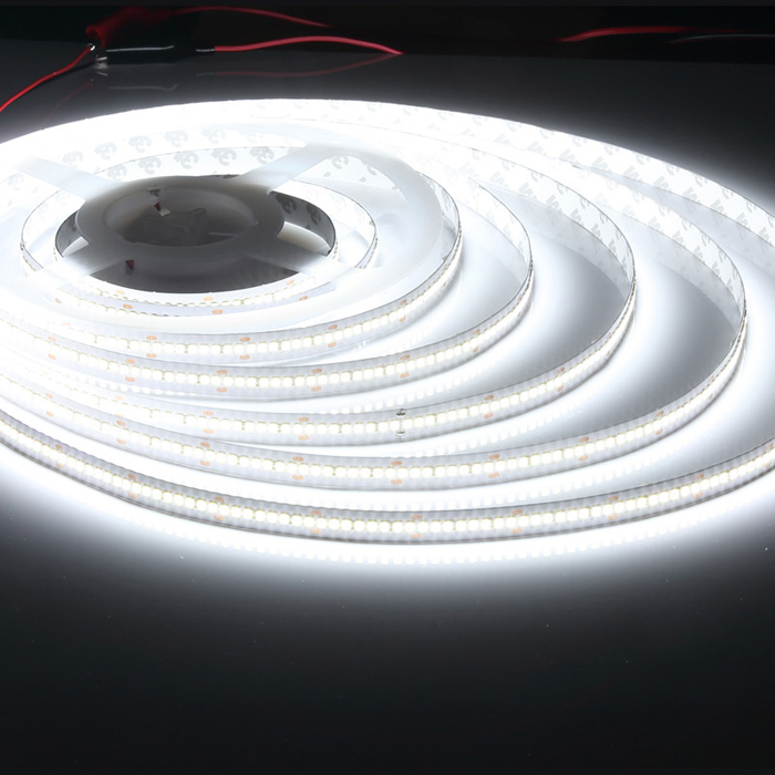 2835 24V LED Strip Light, Cool White 6500K, 240/m, 2.5m Reel