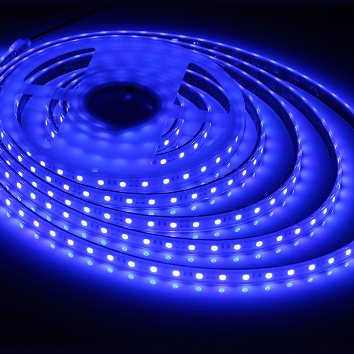 Waterproof 5050 12V Blue LED Strip Light, 60/m, 5m Reel