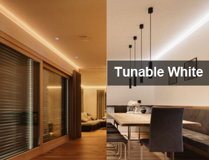 Tunable White Counter Lighting